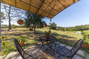 House | 2 bedrooms - Countryside House Near To Pratomagno (Terranuova Bracciolini)
