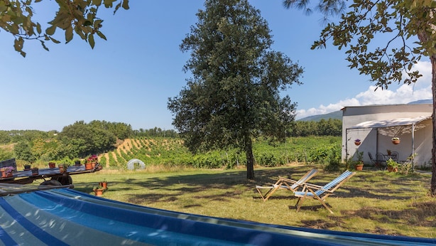 A hammock, a tree, and a grassy area with a greenhouse in the background. - Countryside House Near To Pratomagno (Terranuova Bracciolini)