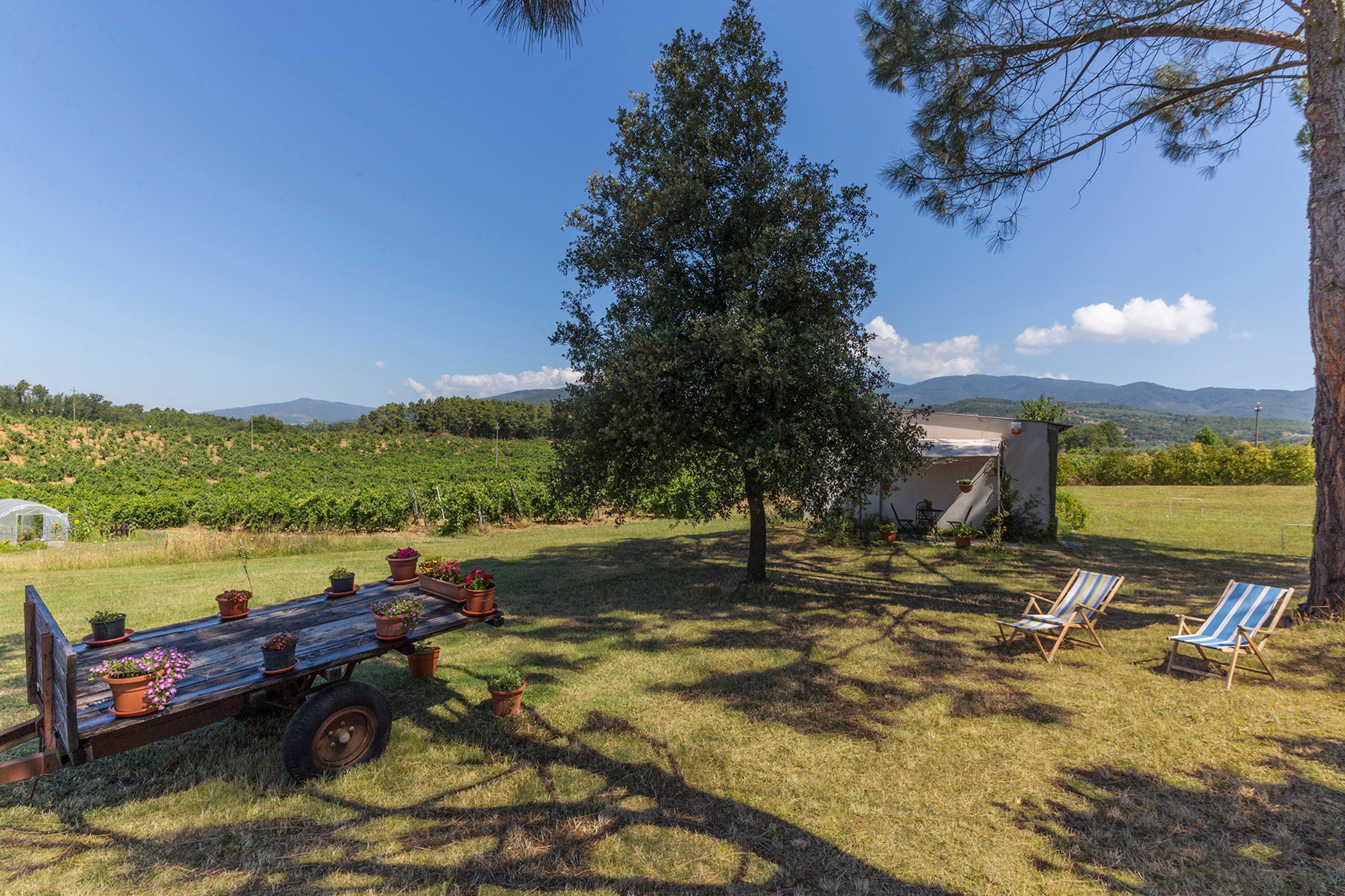 A grassy outdoor area with a wooden table and chairs, a large tree, and a view of distant hills.