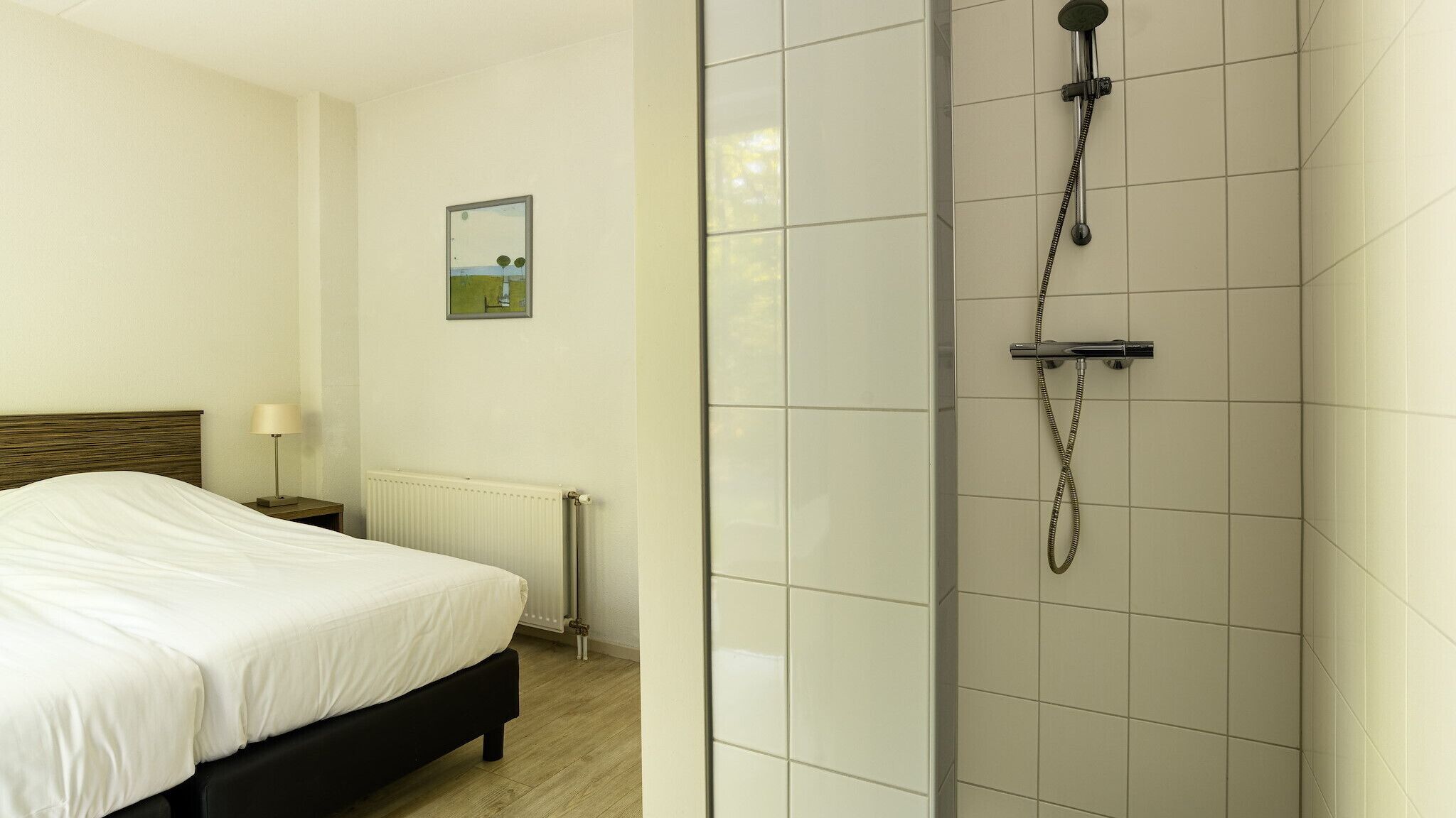 A hotel room with a bed, a nightstand with a lamp, a radiator, a shower with a handheld showerhead, and a framed picture on the wall.