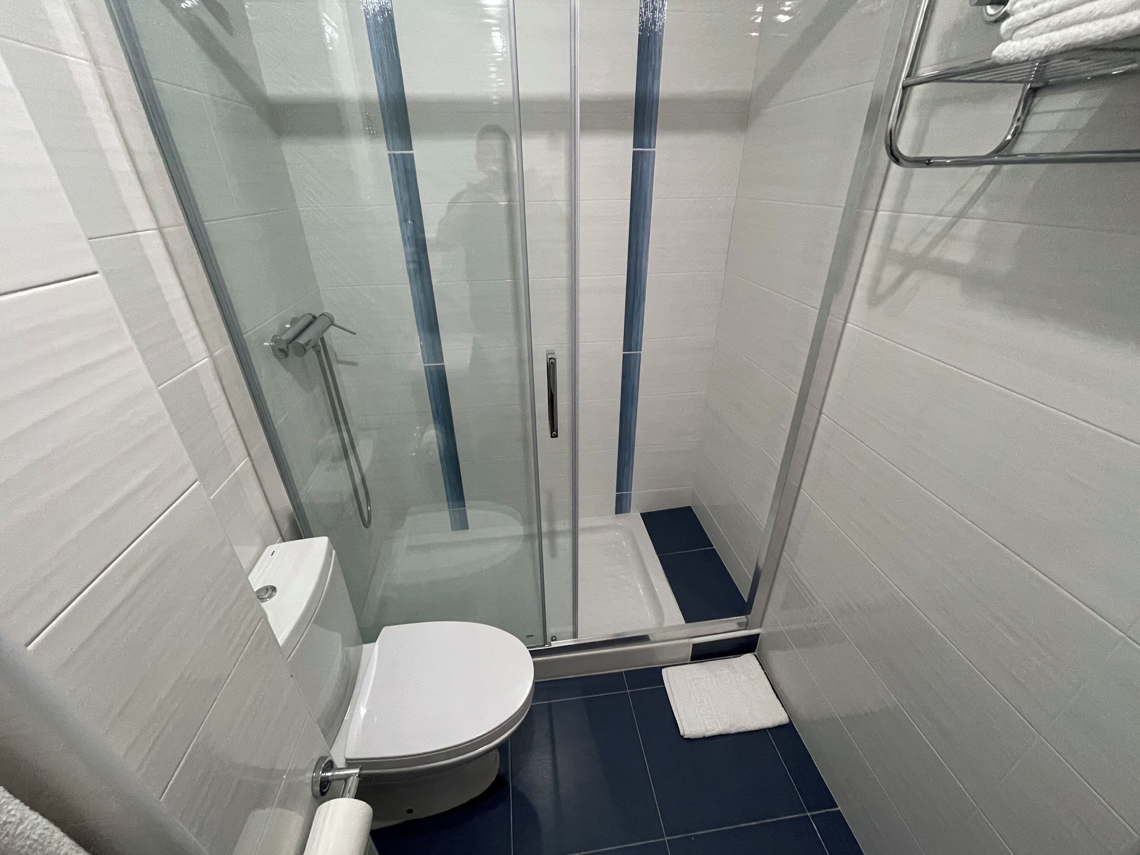 A modern bathroom with a glass-enclosed shower, a toilet, and a towel rack.