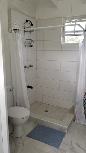 Hair dryer, towels, soap, toilet paper - Charming 1-bedroom apartment with AC, WiFi in enjoyable Saint James (Saint James)