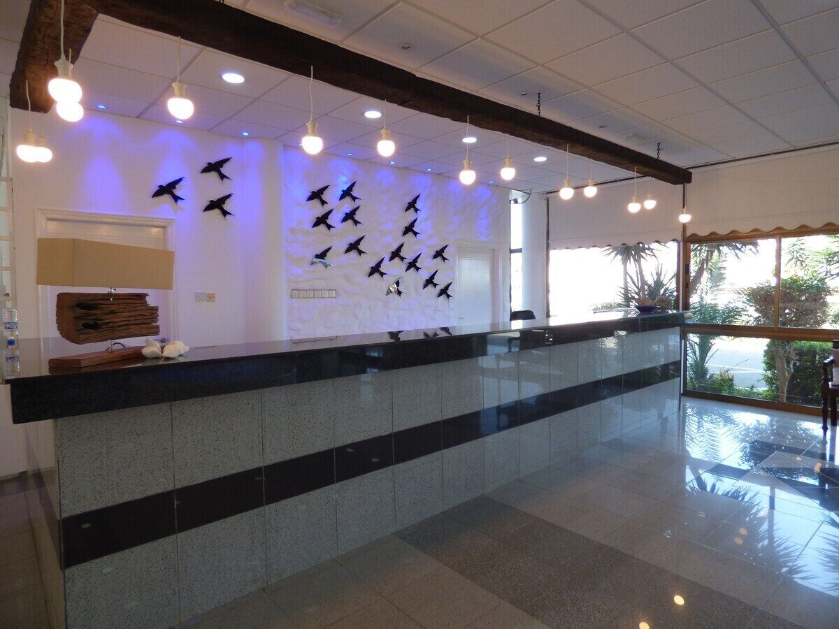 A reception area with a counter, ceiling lights, and wall-mounted bird decorations.