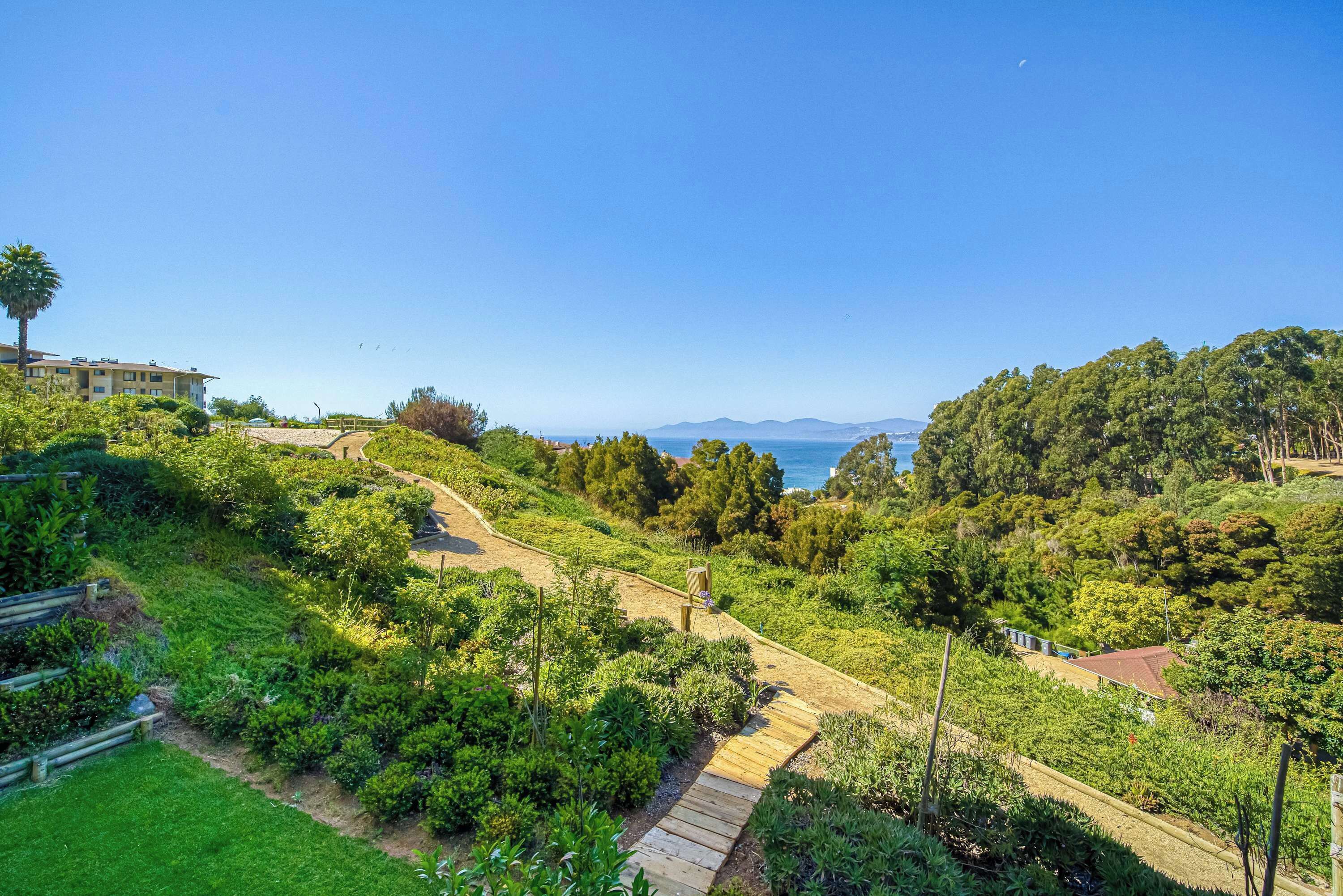A landscaped area with a wooden pathway, dense greenery, and a distant view of the sea.