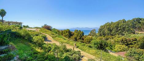 A landscaped area with a wooden pathway, dense greenery, and a distant view of the sea.
