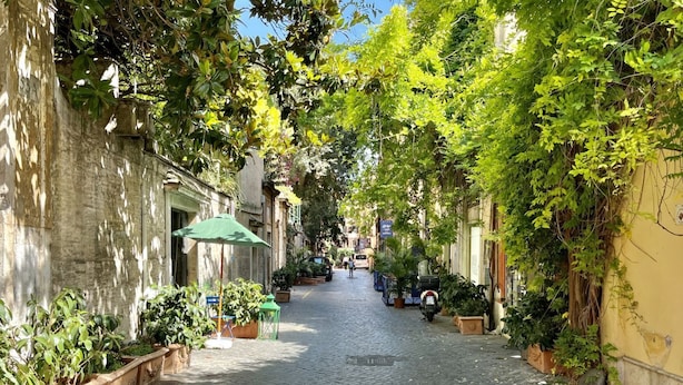 Une ruelle étroite pavée, bordée d’immeubles, de plantes en pot et d’un parasol vert.