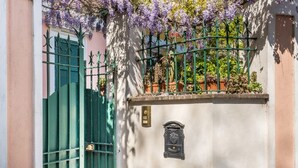 A building with a green gate, a mailbox, and purple flowers on the wall. - Elizabeth Penthouse, Charmy Penthouse in Little London (Roma)