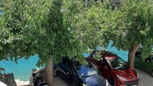 Room, 3 Bedrooms, Smoking, Balcony | Property grounds - Room-maria Apartments Zaton - Apartment (Sibenik)