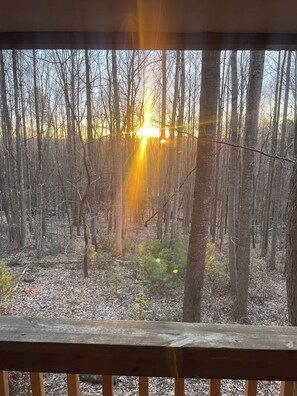 Property grounds - Forest Cabin Minutes from Stone Mountain, NC (Wilkes County)