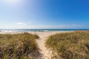 A beach path leading to the ocean with tall grass on either side.