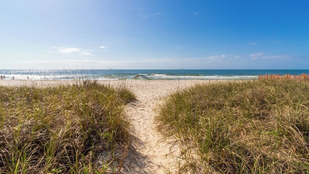 Ein Strandweg führt zum Meer, begleitet von hohem Gras an beiden Seiten.