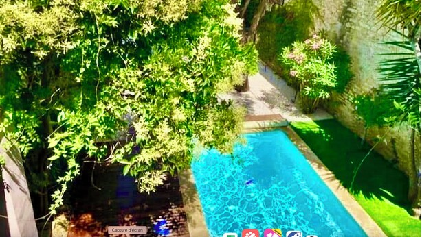 A swimming pool surrounded by lush greenery and a stone wall.