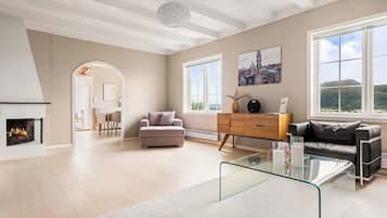 TV, fireplace, books, offices
