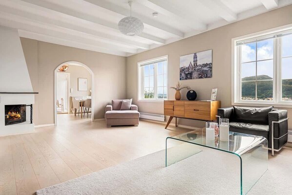 Télévision, cheminée, livres, espaces bureaux