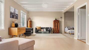 TV, fireplace, books, offices