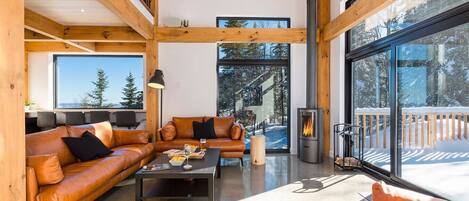 Smart TV, fireplace, video games, DVD player