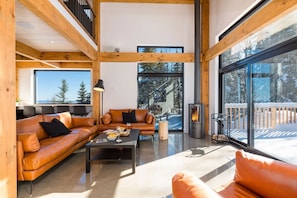 Smart TV, fireplace, video games, DVD player