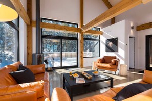 Smart TV, fireplace, video games, DVD player