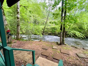 Property grounds - Silver's Snowbird Cabin (Robbinsville)