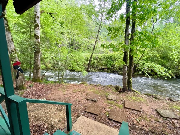 Property grounds - Silver's Snowbird Cabin (Robbinsville)