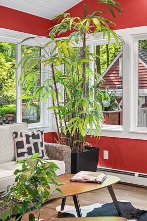 Smart TV, fireplace, books