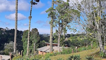 Vistas al jardín