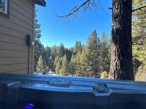 Terrain de l’hébergement 