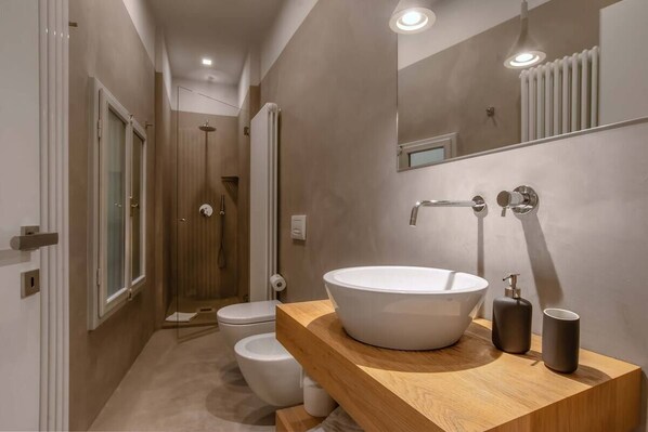 Shower, hair dryer, bidet, towels
