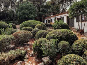 Escape to a serene garden oasis with a tranquil atmosphere and a modern building in the distance.