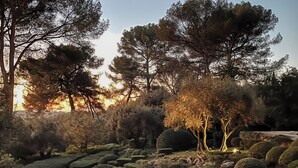 Ein Garten mit moosbewachsenen Steinen und Bäumen.
