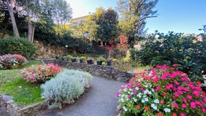 Un chemin de jardin bordé de pierres et agrémenté de différentes plantes à fleurs.