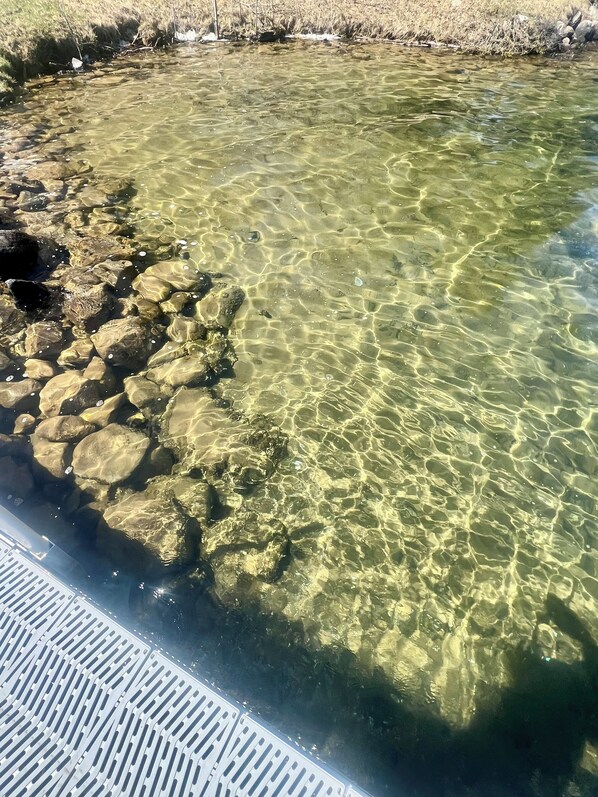 Una vista despejada de una masa de agua poco profunda con rocas en la orilla, probablemente un estanque o un arroyo pequeño.
