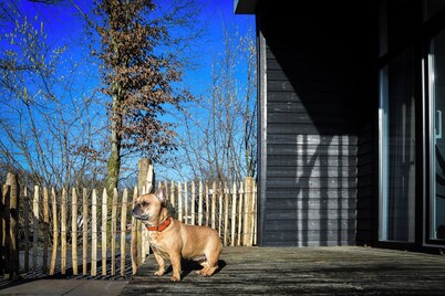 Forest lodge with enclosed garden I 4 people (copy)