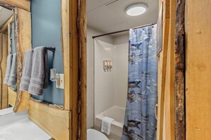 Hair dryer, towels, soap, toilet paper