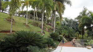 Un sendero rodeado de vegetación exuberante y palmeras, que conduce a un edificio de fachada blanca.