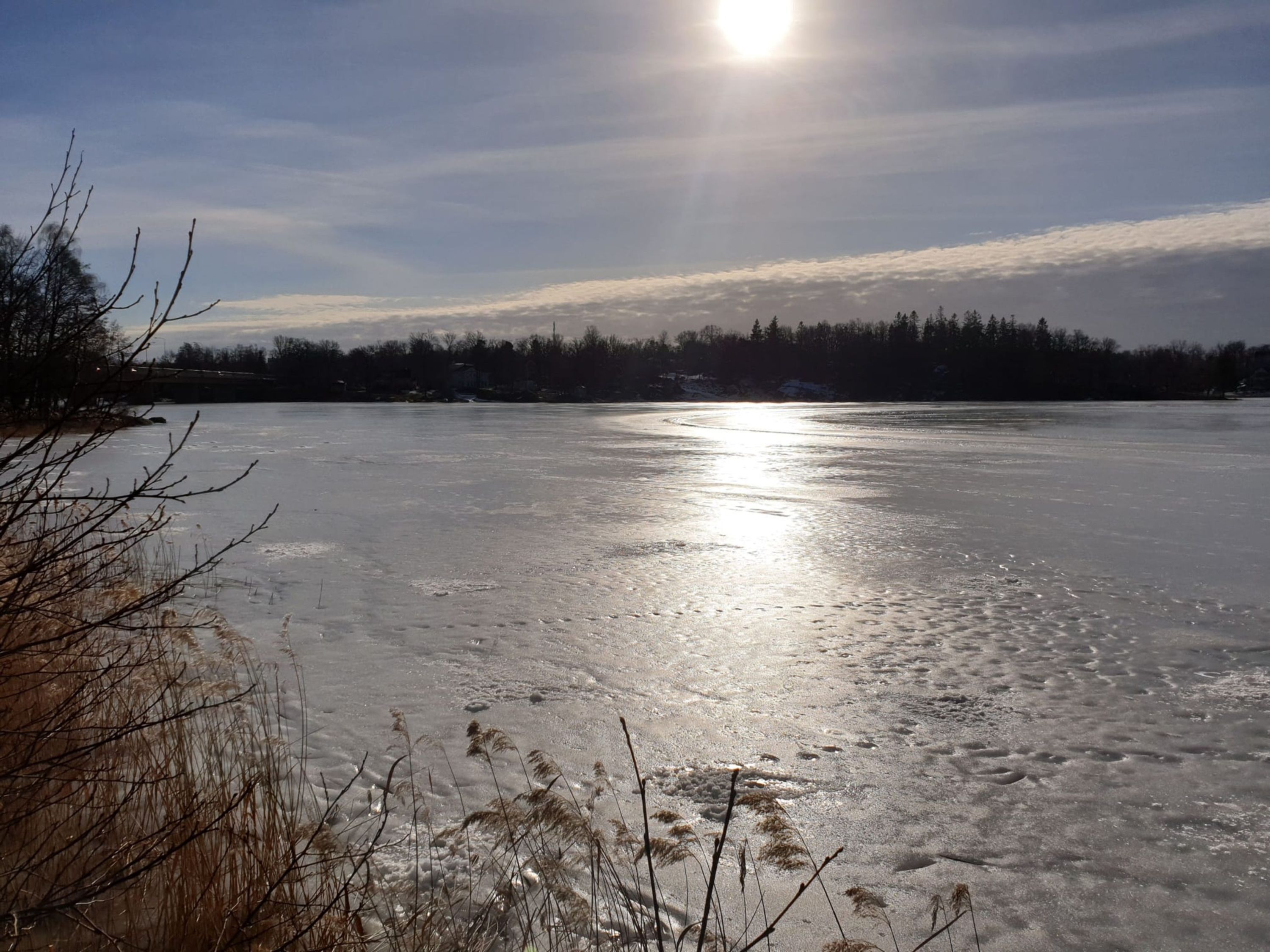 A frozen lake with the sun reflecting off the ice, surrounded by trees and some vegetation in the foreground.