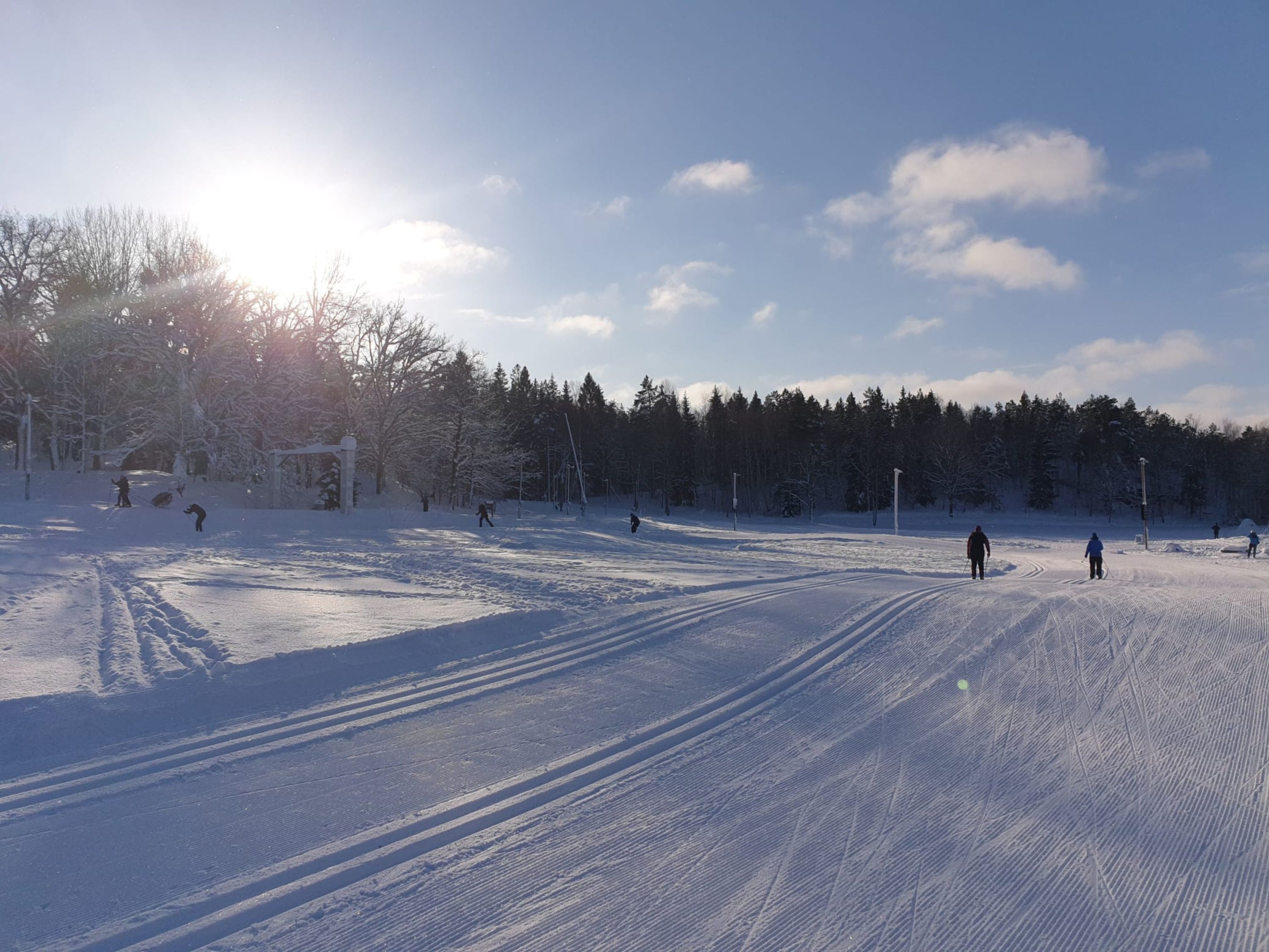 A snowy cross-country skiing trail with tracks, surrounded by trees and a clear sky.