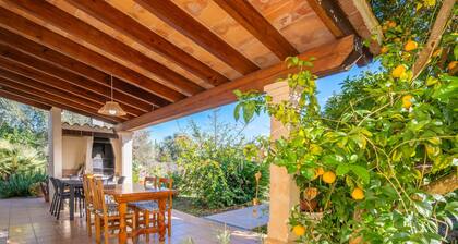 Ca Na Xisca Pollen a