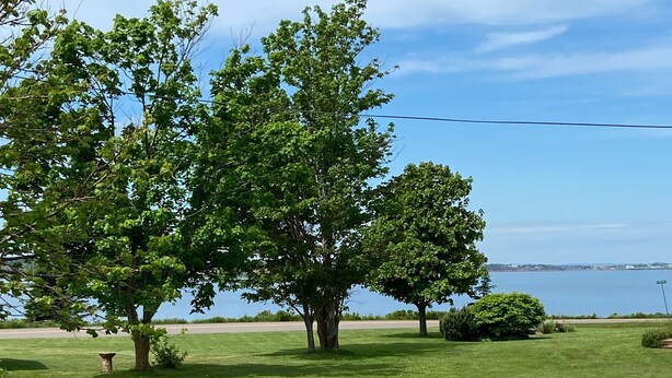 A grassy area with trees and a view of the water. - Cottage By The Shore (York)