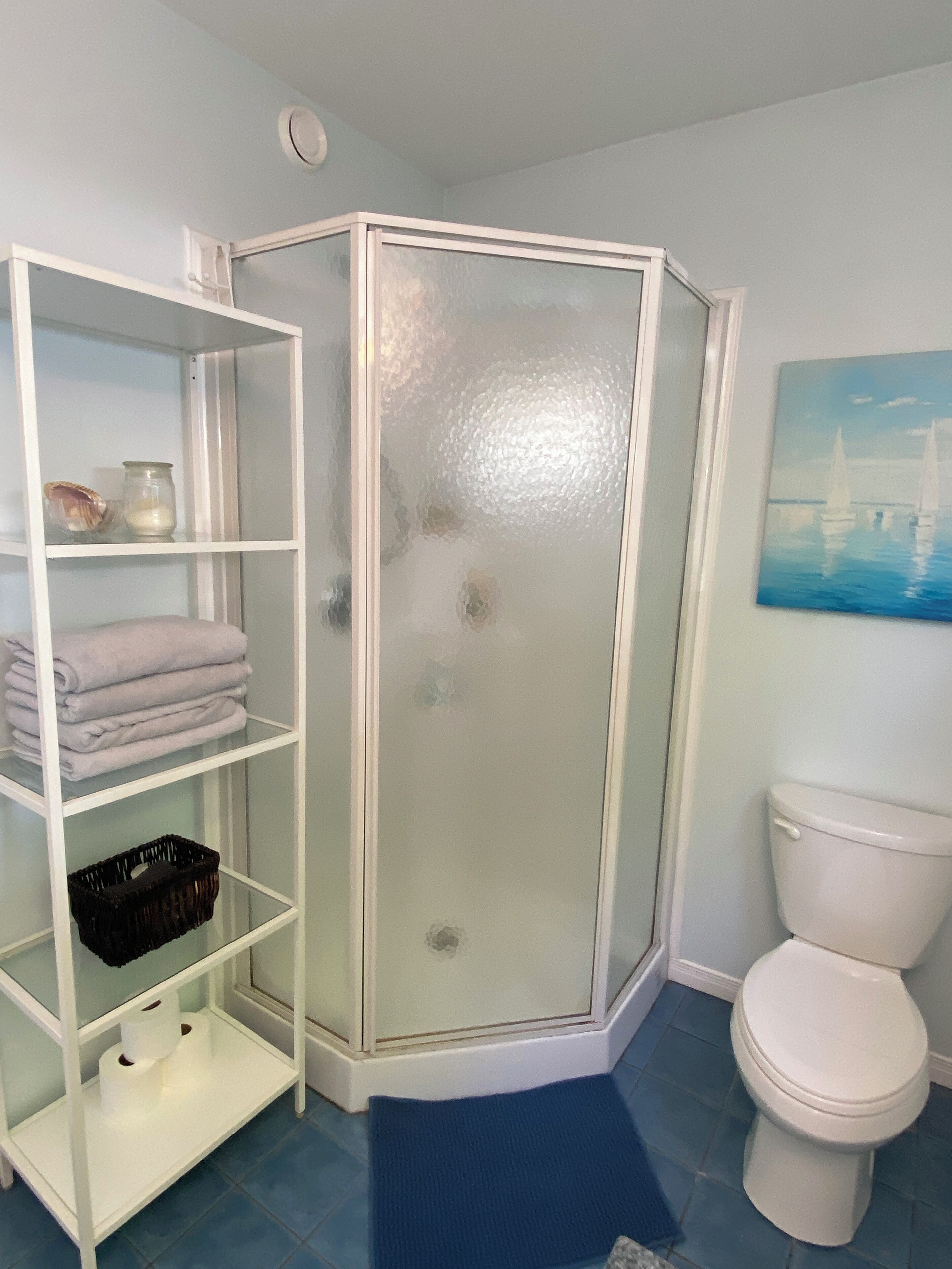 Une salle de bain avec une douche à parois de verre, des toilettes blanches et un meuble de rangement contenant des serviettes et des articles de toilette.
