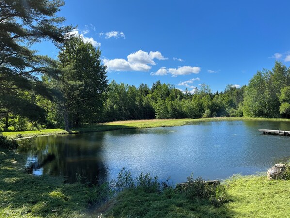 Un lac paisible, entouré d’une végétation luxuriante et d’arbres.