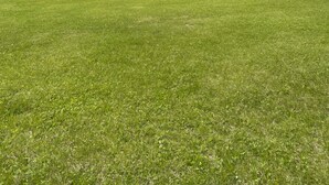 A grassy field with a building in the background.