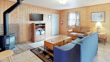 TV, fireplace