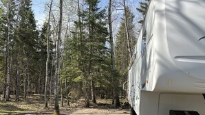 Un camping-car blanc est garé dans une zone boisée, à proximité d’un chemin de gravier.