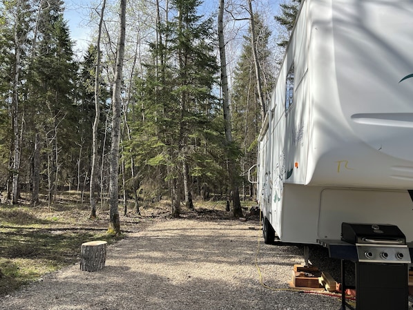 Een witte camper staat in een bebost gebied met een grindpad.