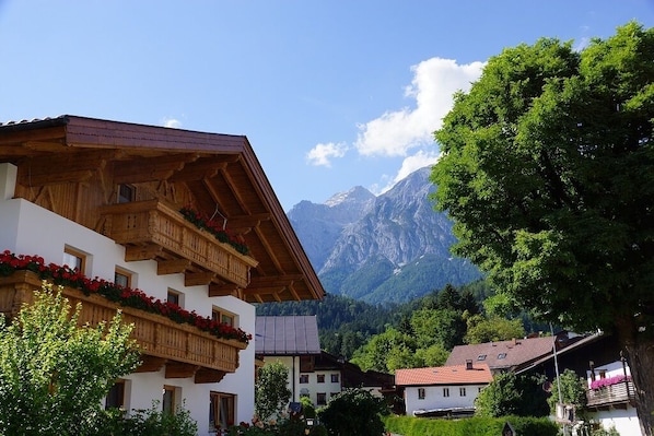 Landuitzicht vanuit accommodatie