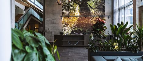 منطقة الاستقبال