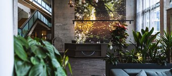 디온 호텔 와텐스