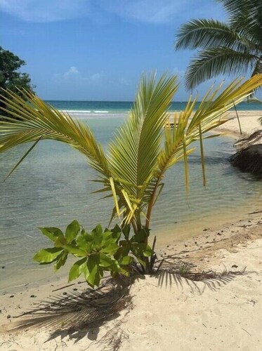 he Corner of Happiness