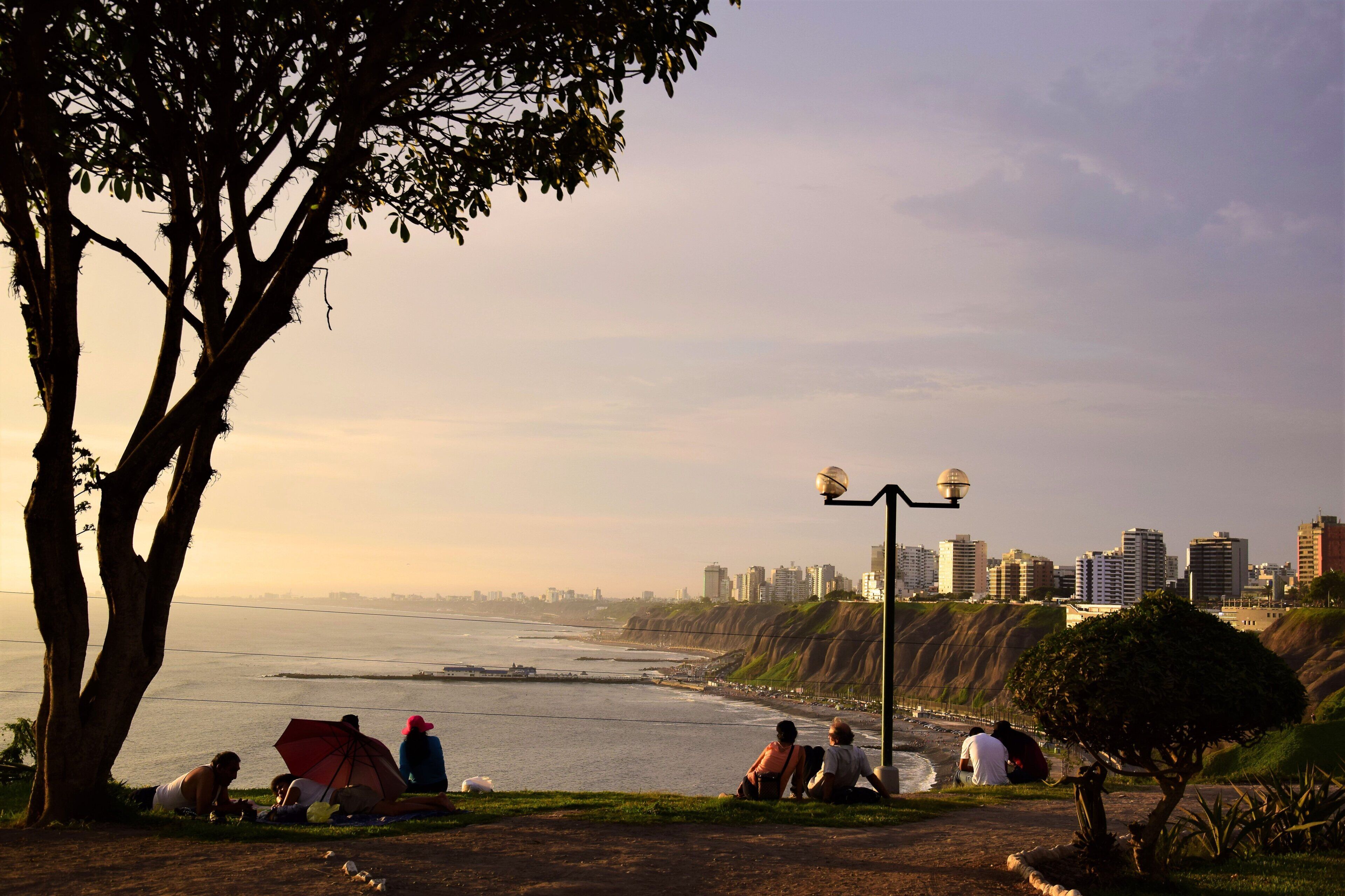 Un parque costero con gente sentada sobre el césped, un árbol y un farol.